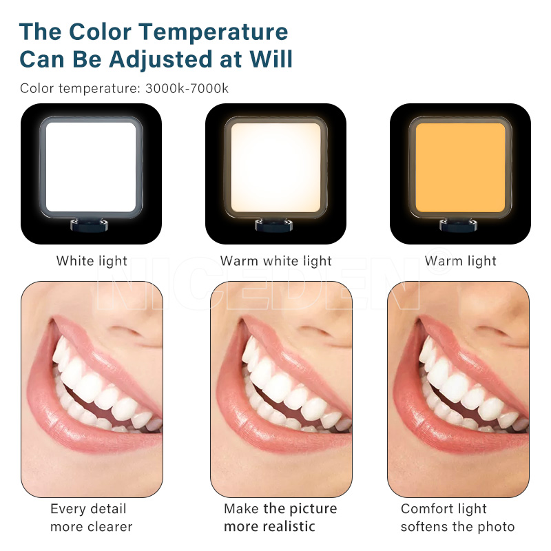 Niceden Dental portable Flash  - Photography Lighting Flash recension och pris