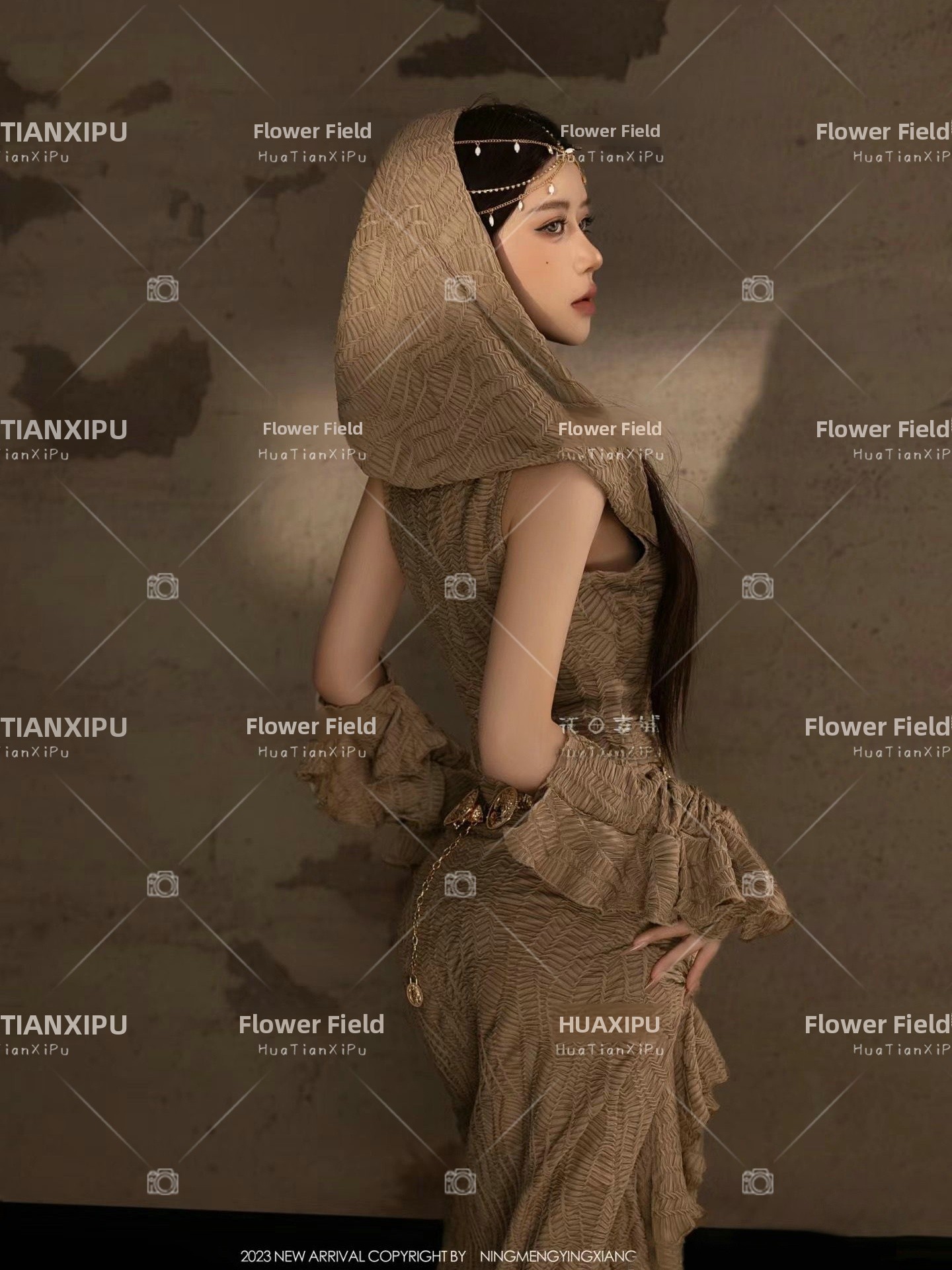 New Desert  Princess Style Pho - Photography Lighting recension och pris