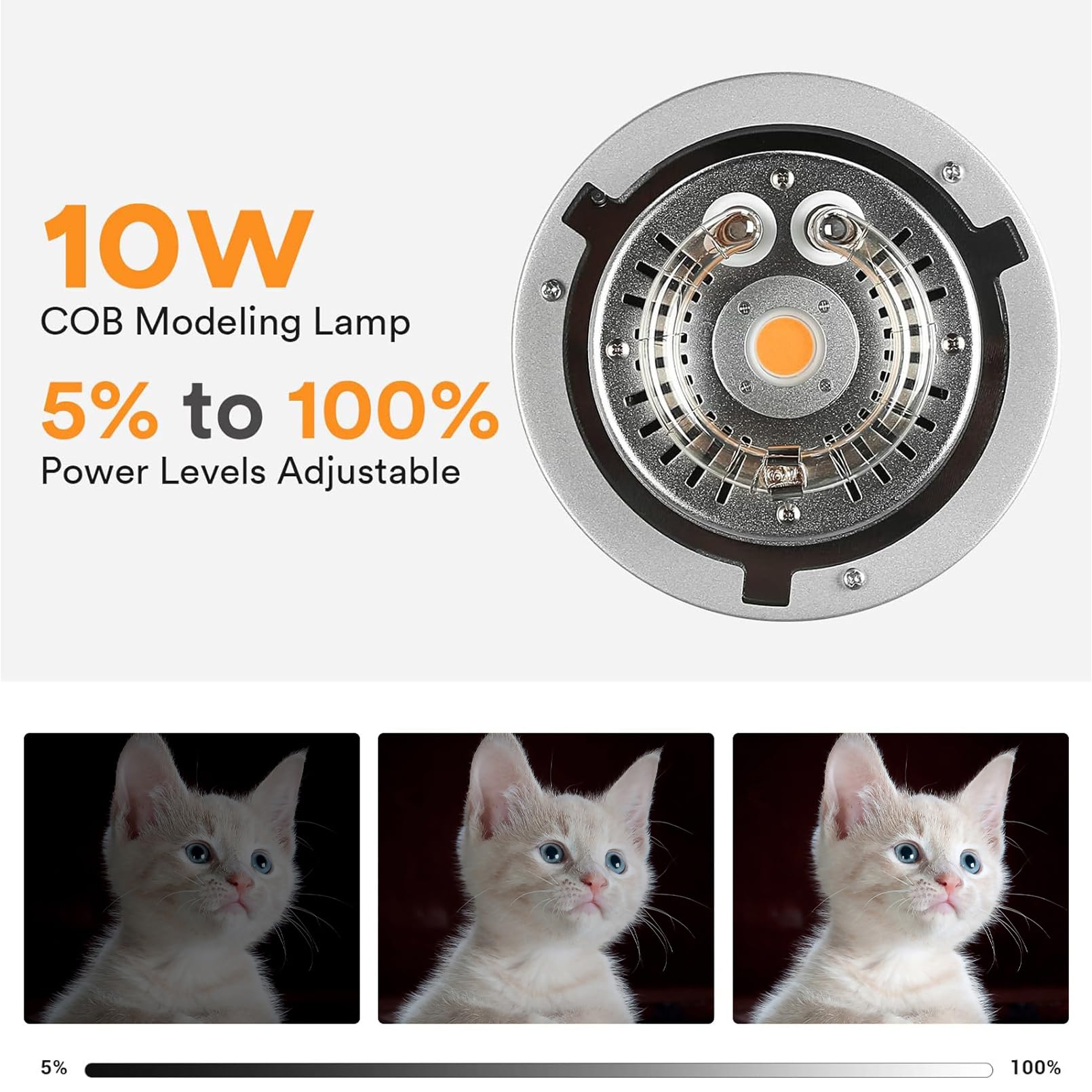 Godox MS200V Studio Strobe Fla - Photography Lighting For Portraits recension och pris